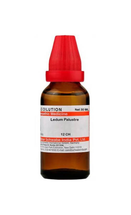 Dr. Willmar Schwabe India Ledum Palustre Dilution image 5