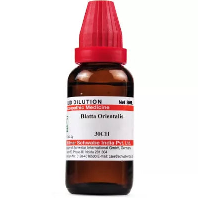 Dr. Willmar Schwabe India Blatta Orientalis Dilution image 3