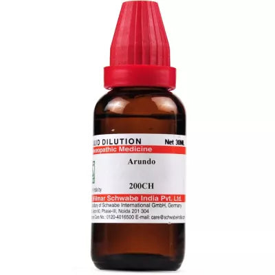 Dr. Willmar Schwabe India Arundo Donax Dilution image 4