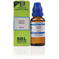 SBL Homeopathy Cicuta Virosa Dilution