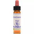Healing Herbs Centauryd