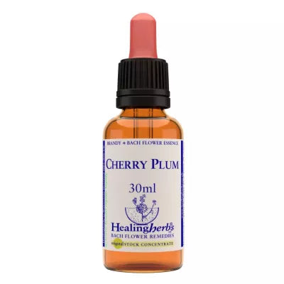 Healing Herbs Cherry Plum image 2