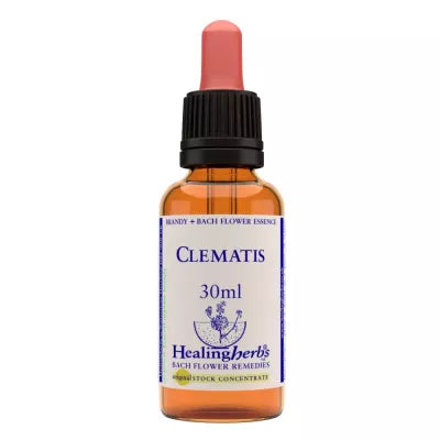 Healing Herbs Clematis image 2
