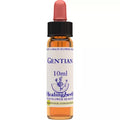 Healing Herbs Gentian