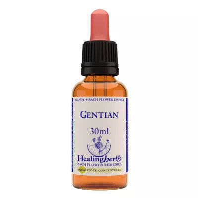 Healing Herbs Gentian image 2