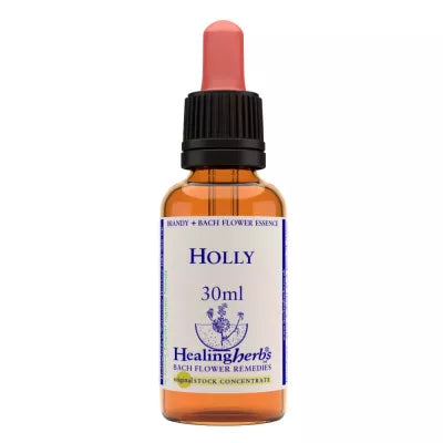 Healing Herbs Holly image 2