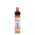 Healing Herbs Impatiens