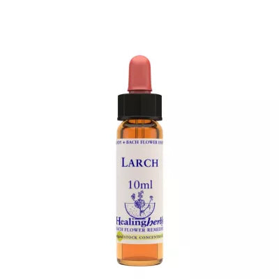 Healing Herbs Larch