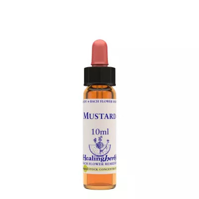 Healing Herbs Mustard