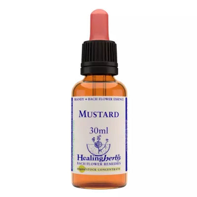 Healing Herbs Mustard image 2