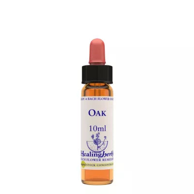 Healing Herbs Oak