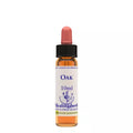 Healing Herbs Oak