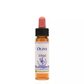 Healing Herbs Olive