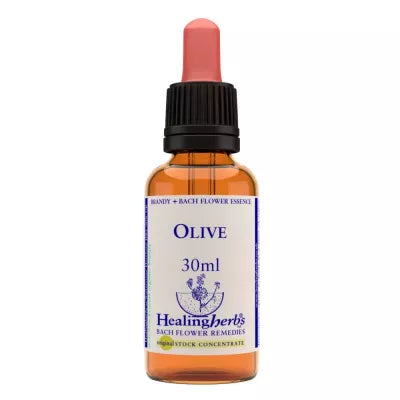 Healing Herbs Olive image 2