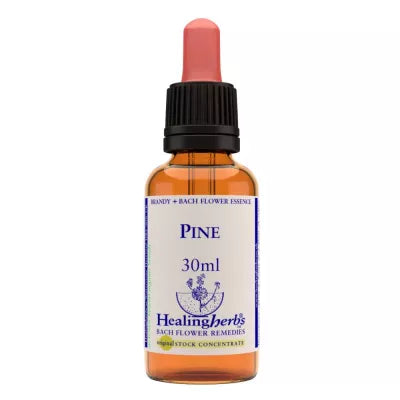 Healing Herbs Pine image 2