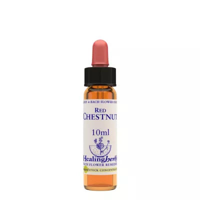 Healing Herbs Red Chestnut