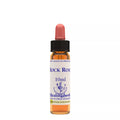 Healing Herbs Rock Rose