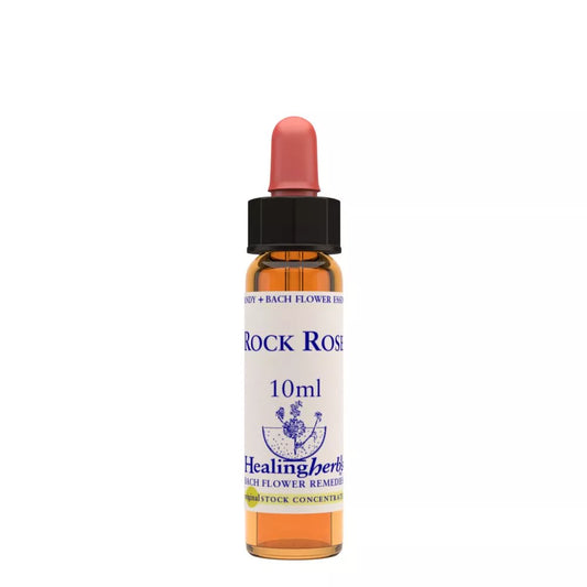 Healing Herbs Rock Rose