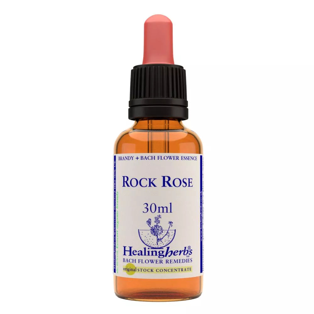 Healing Herbs Rock Rose image 2