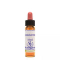 Healing Herbs Scleranthus