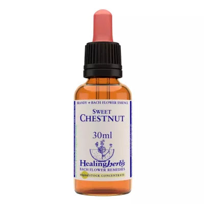 Healing Herbs Sweet Chestnut image 2