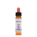 Healing Herbs Vervain