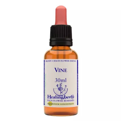 Healing Herbs Vine image 2