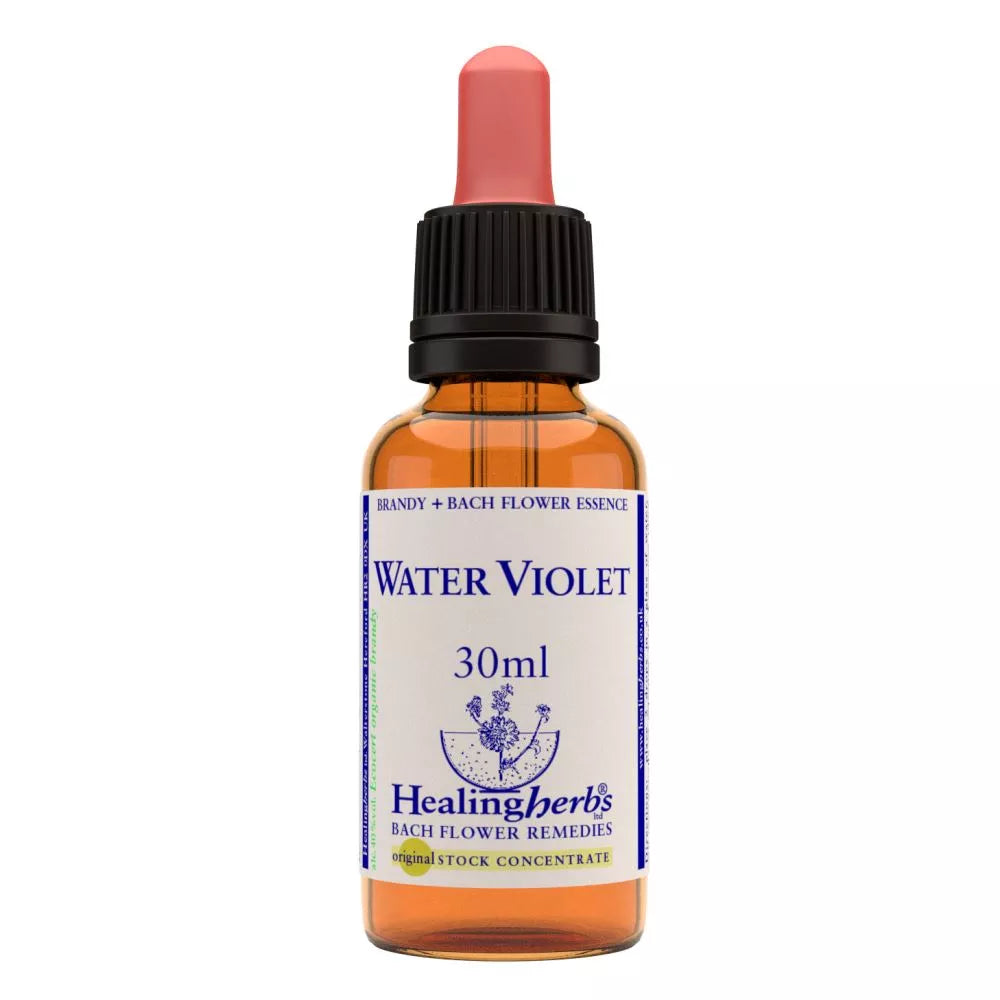 Healing Herbs Water Violet image 2