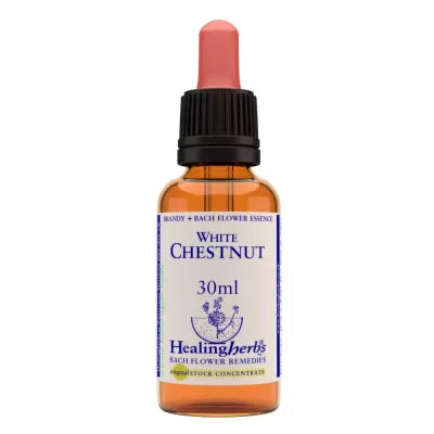 Healing Herbs White Chestnut image 2