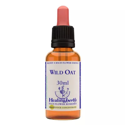 Healing Herbs Wild Oat image 2