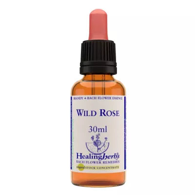 Healing Herbs Wild Rose image 2