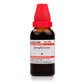Dr. Willmar Schwabe India Jatropha Curcas Mother Tincture Q