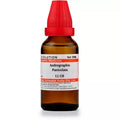 Dr. Willmar Schwabe India Andrographis Paniculata Dilution