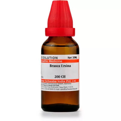 Dr. Willmar Schwabe India Branca Ursina Dilution image 2