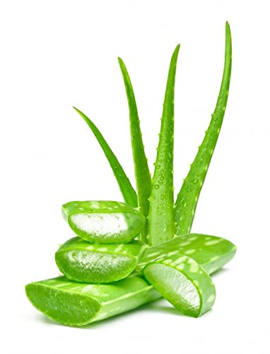 3V Products Aloe Vera Powder - 250 gms image 2