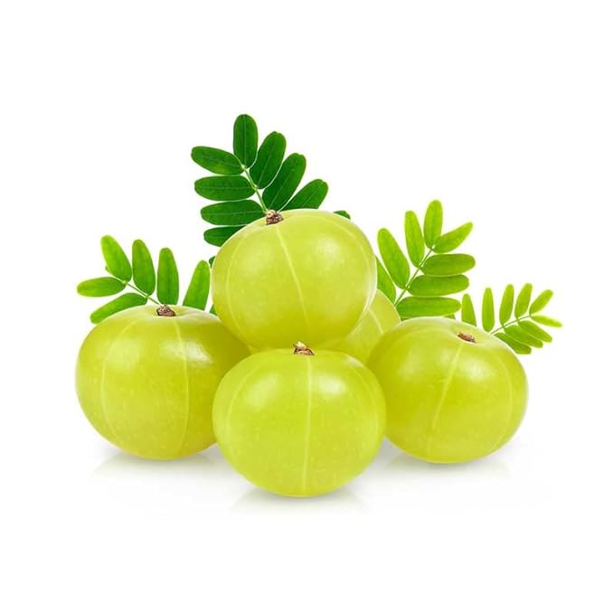 3V Products Amla Powder - 100 gms image 3