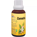 Bio India Bach Flower Clematis