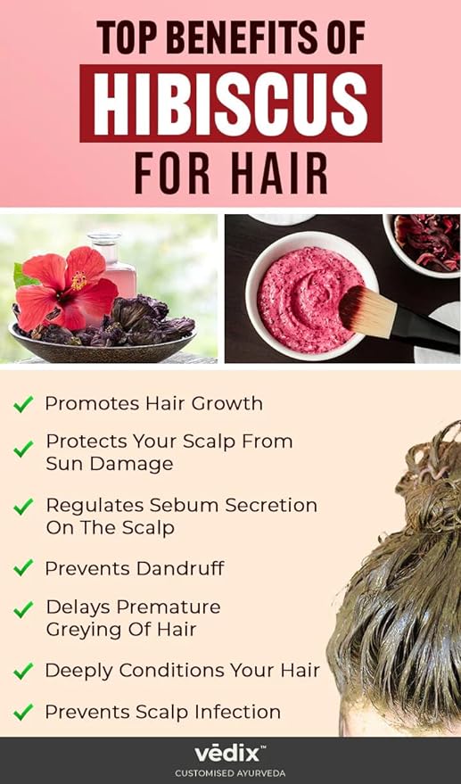 3V Products Hibiscus Flower Powder - 50 gms image 3