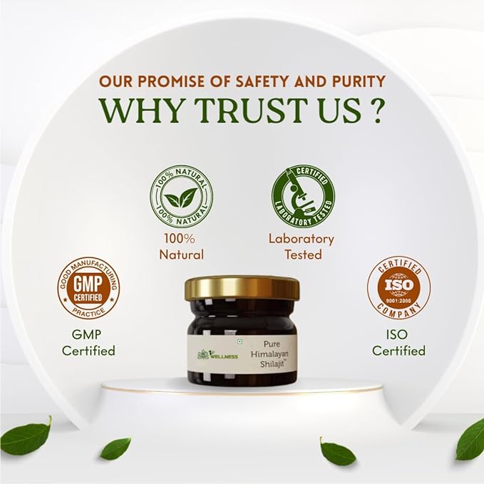 1stwellness Himalayan Shilajit - 20 gma image 2