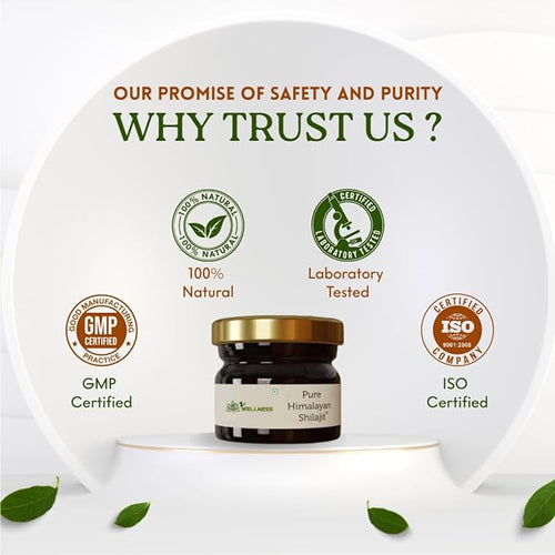 1stwellness Himalayan Shilajit - 20 gma image 2