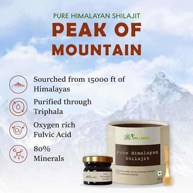 1stwellness Himalayan Shilajit - 20 gma image 3