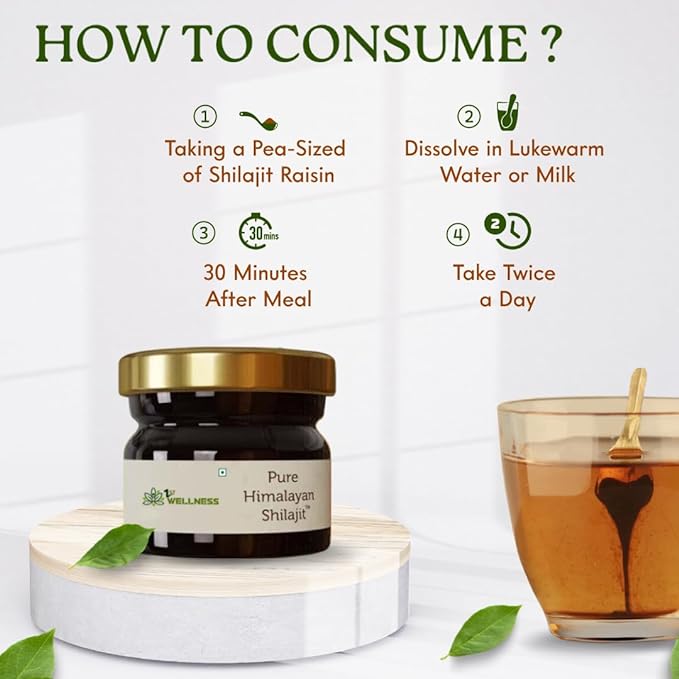 1stwellness Himalayan Shilajit - 20 gma image 4