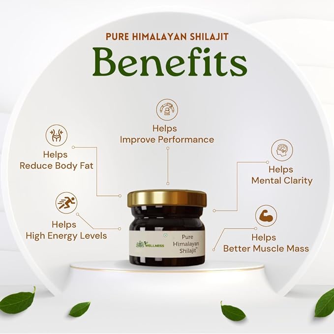 1stwellness Himalayan Shilajit - 20 gma image 7