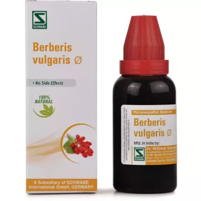 Dr. Willmar Schwabe India Berberis Vulgaris Mother Tincture Q image 2