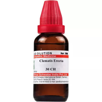 Dr. Willmar Schwabe India Clematis Erecta Dilution image 2