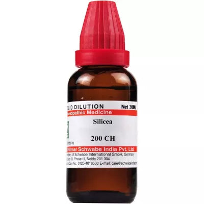 Dr. Willmar Schwabe India Silicea Dilution image 3