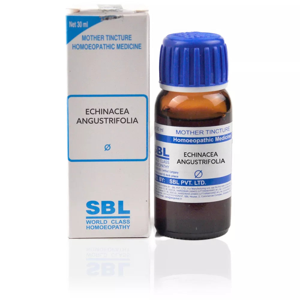 SBL Homeopathy Echinacea Angustrifolia Mother Tincture Q