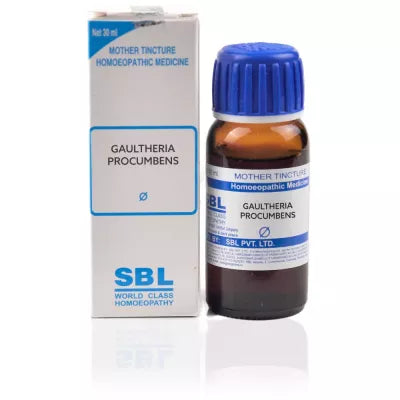 SBL Homeopathy Gaultheria Procumbens Mother Tincture Q image 2