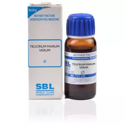 SBL Homeopathy Teucrium Marum Verum Mother Tincture Q image 2