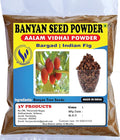 3V Products Aalam Vidhai Powder - 100 gms